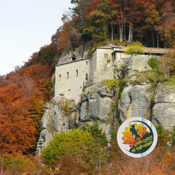 Colori d'Autunno al Bosco delle Fate e La Verna