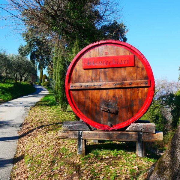 quercia delle streghe wine trek - immagine 3