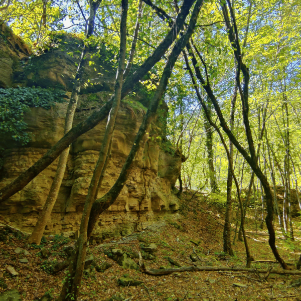 Il borgo fantasma che rinasce - immagine 5