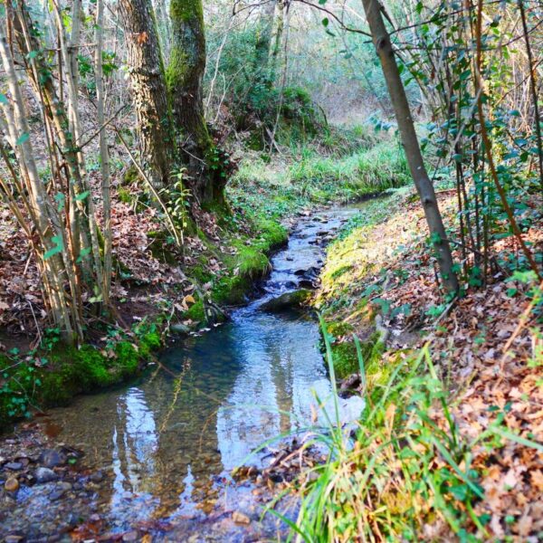 quercia delle streghe wine trek - immagine 6