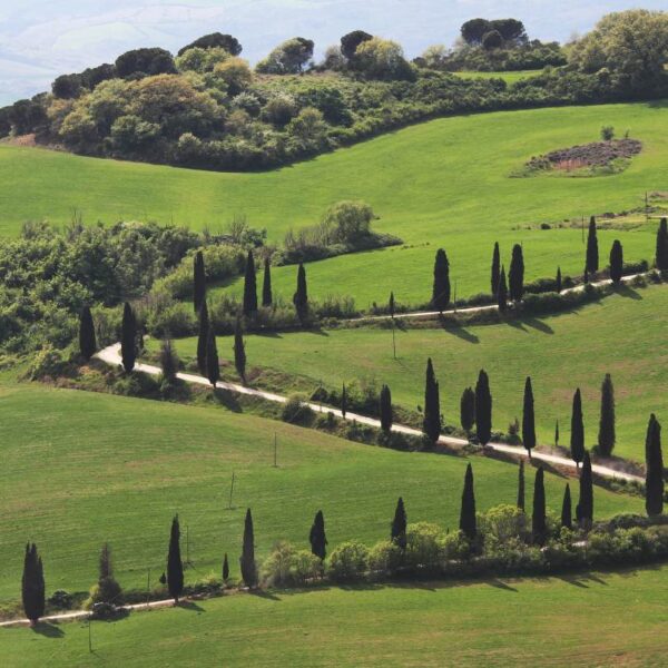 Val D'Orcia che Spettacolo - immagine 6