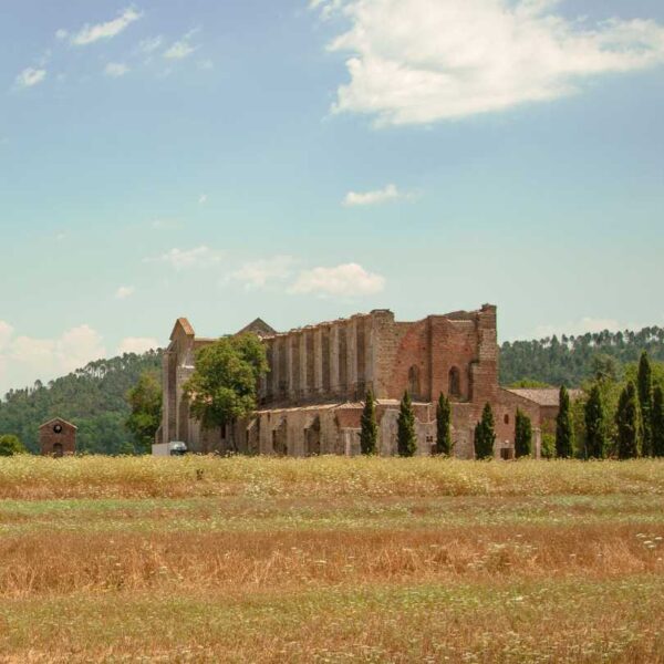 Mistica San Galgano - immagine 3