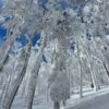ciaspolata sul monte falco #2 - immagine 2