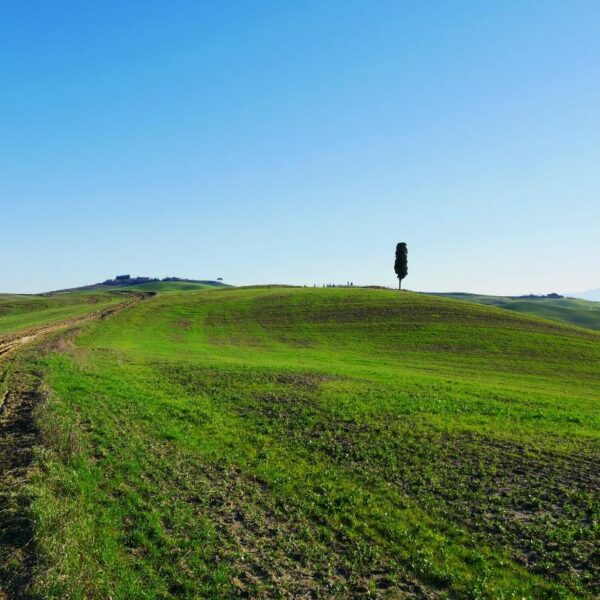 Le Crete Senesi - immagine 3