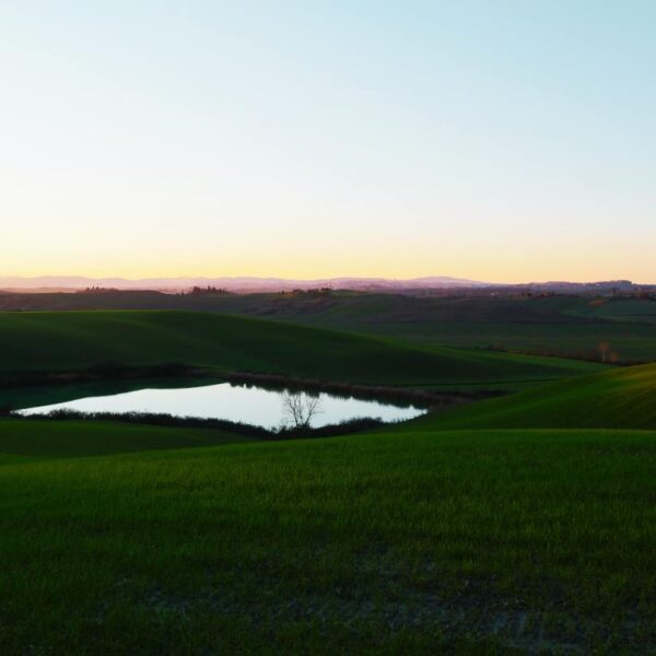 Le Crete Senesi - immagine 5