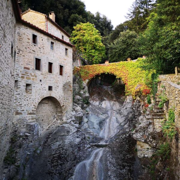 La Magia del Natale a Cortona - immagine 2