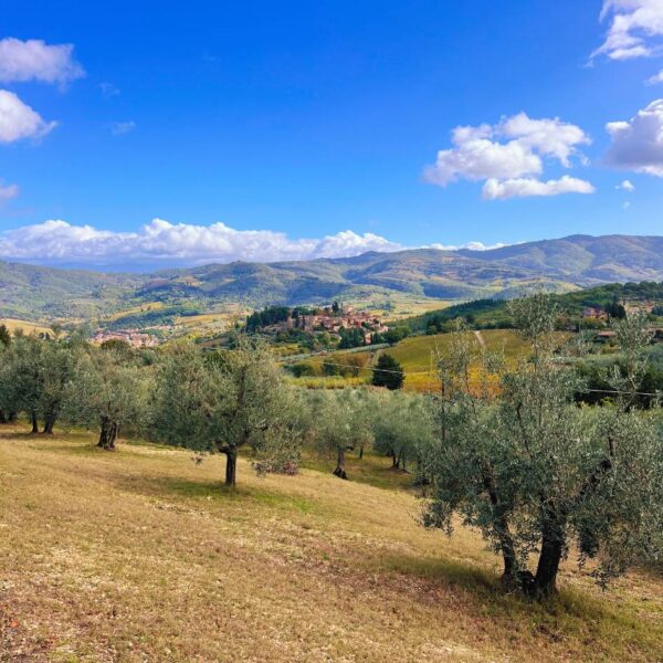 Montefioralle Wine Trek - immagine 7