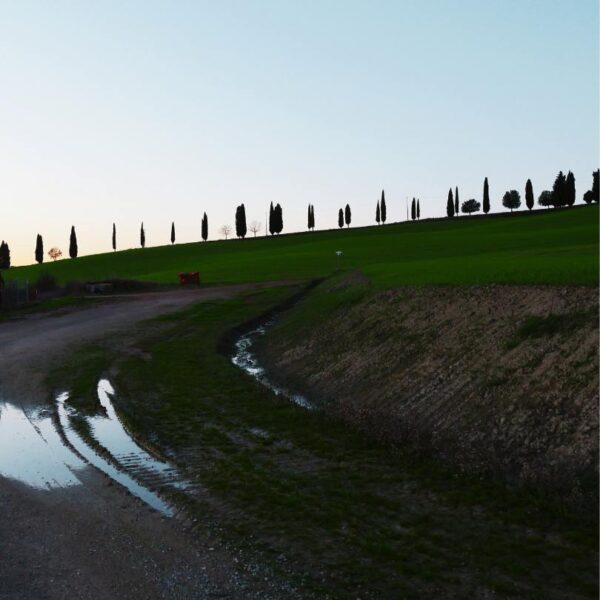 Le Crete Senesi - immagine 4