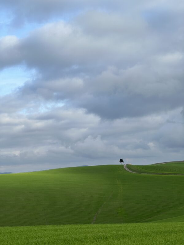 Le Crete Senesi - immagine 6