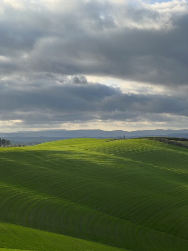 Le Crete Senesi - immagine 8