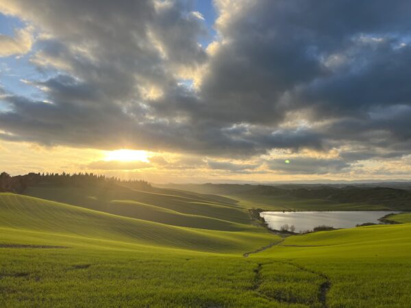 Le Crete Senesi - immagine 7