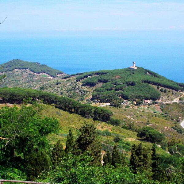 isola del giglio mon amour - immagine 2