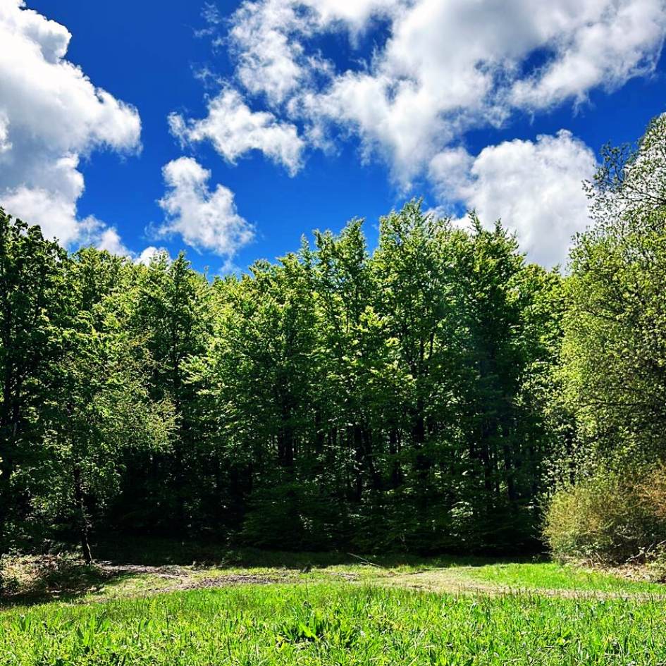 la via degli dèi - immagine 8