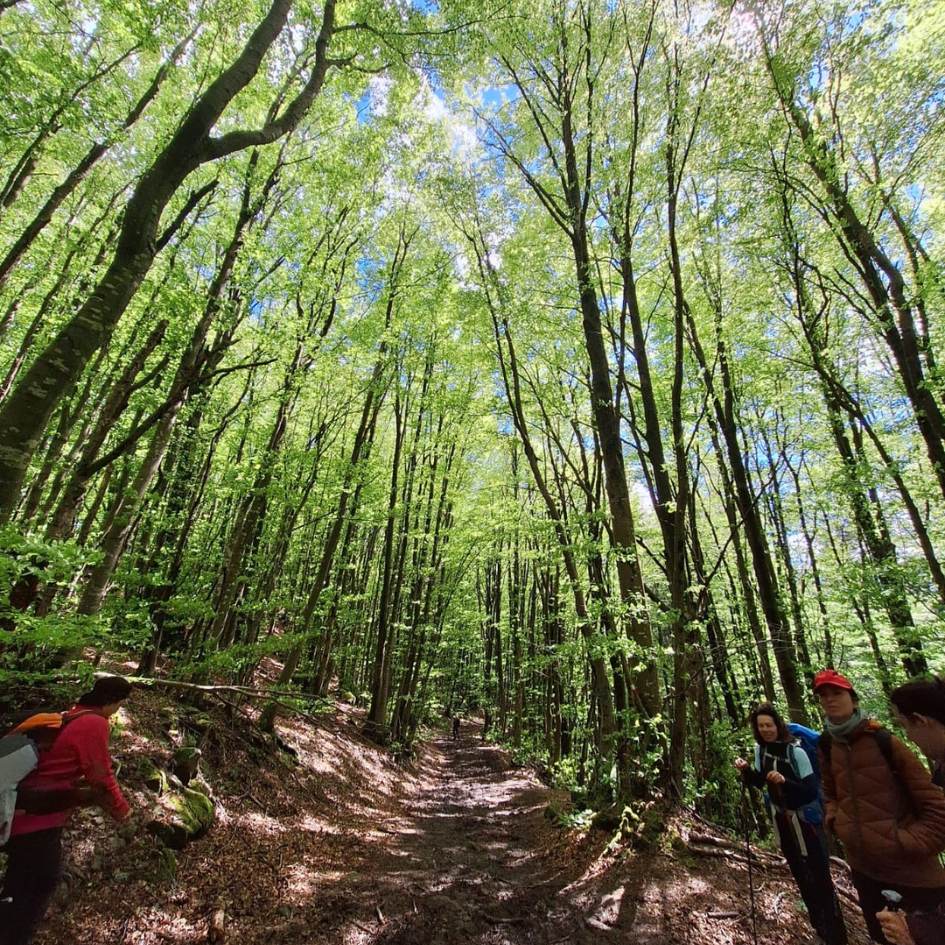 la via degli dèi - immagine 18