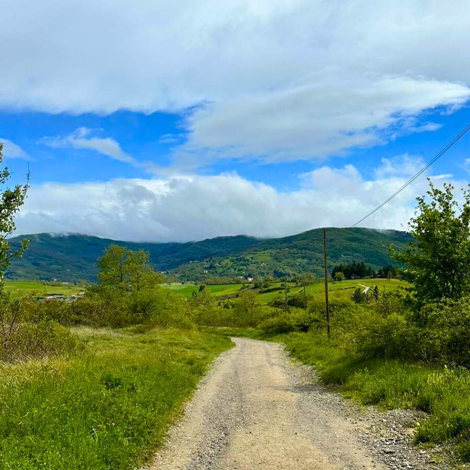 la via degli dèi - immagine 4