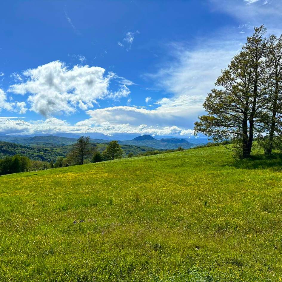 la via degli dèi - immagine 20