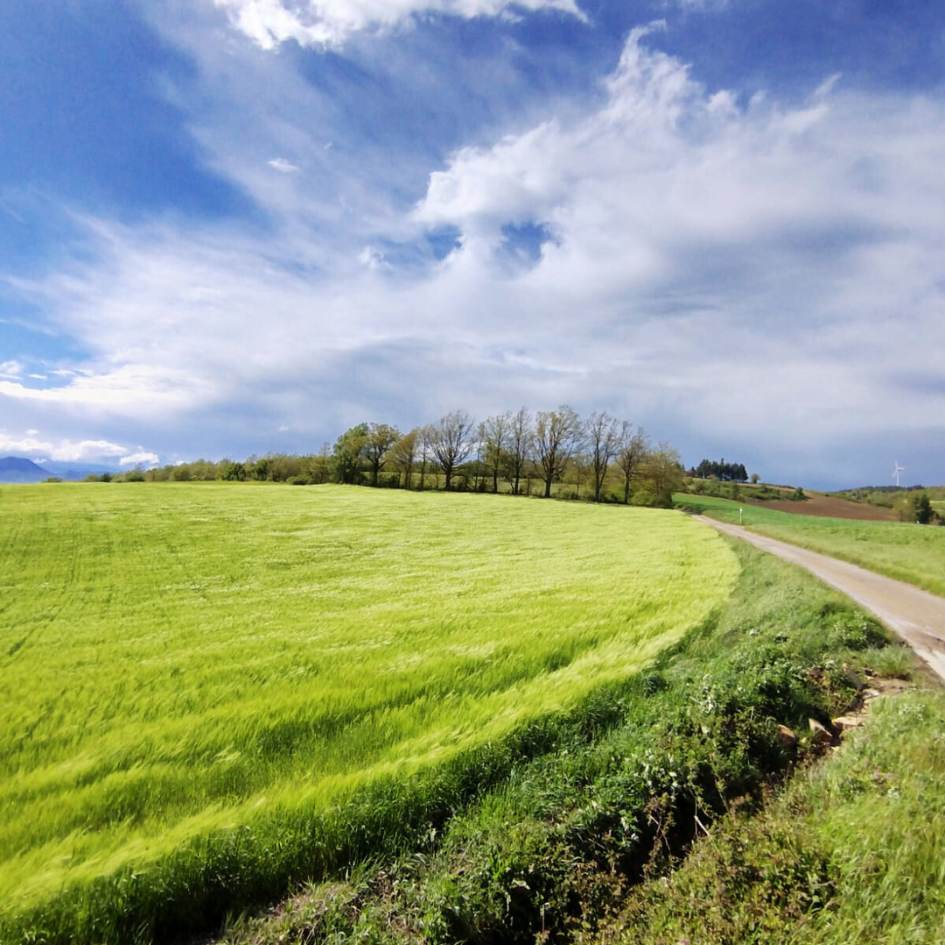 la via degli dèi - immagine 2