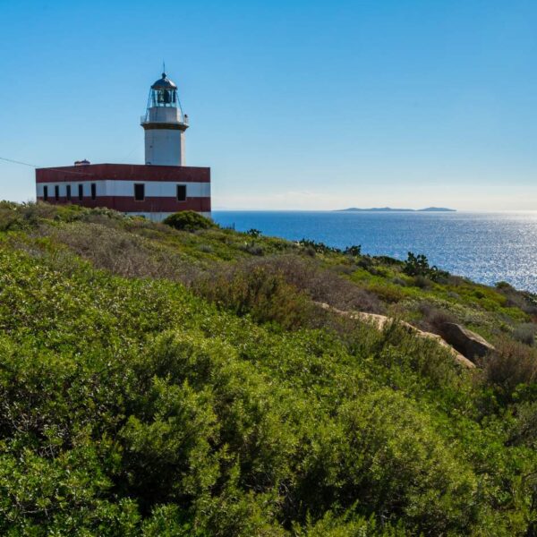 isola del giglio mon amour - immagine 3