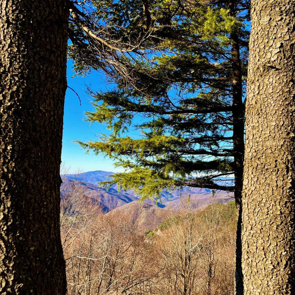 Tramonto con Aperitivo alla Fiamma Eterna - immagine 8