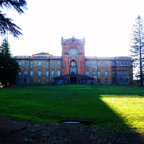 Le Sequoie Gemelle di Sammezzano - immagine 6