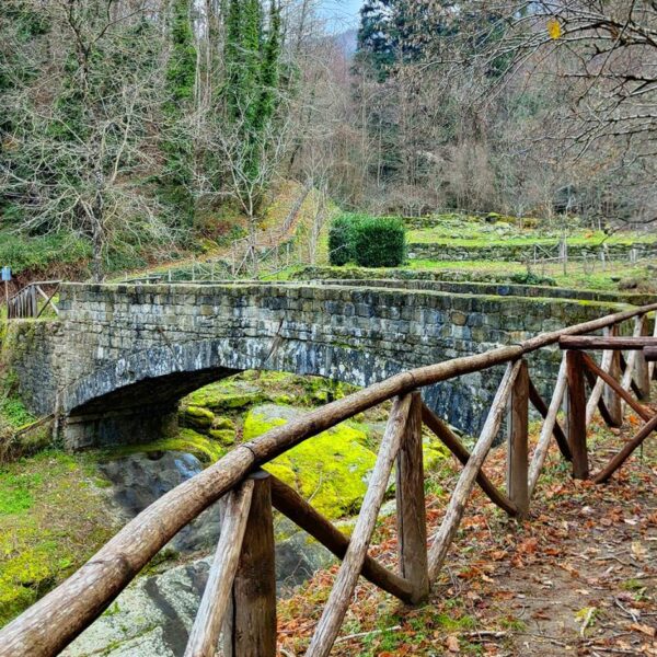 Raggiolo: l'appetito vien camminando - immagine 5