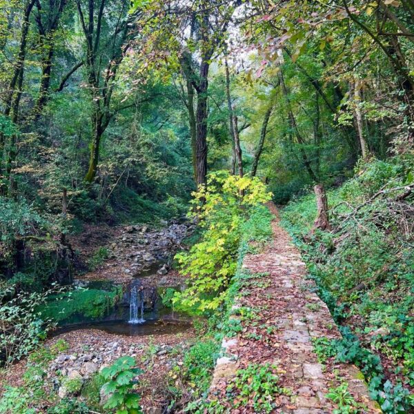 Il Magico Acquedotto di Colognole - immagine 7