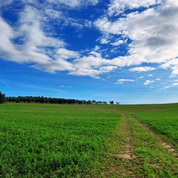 Maremma che Relax! - immagine 7