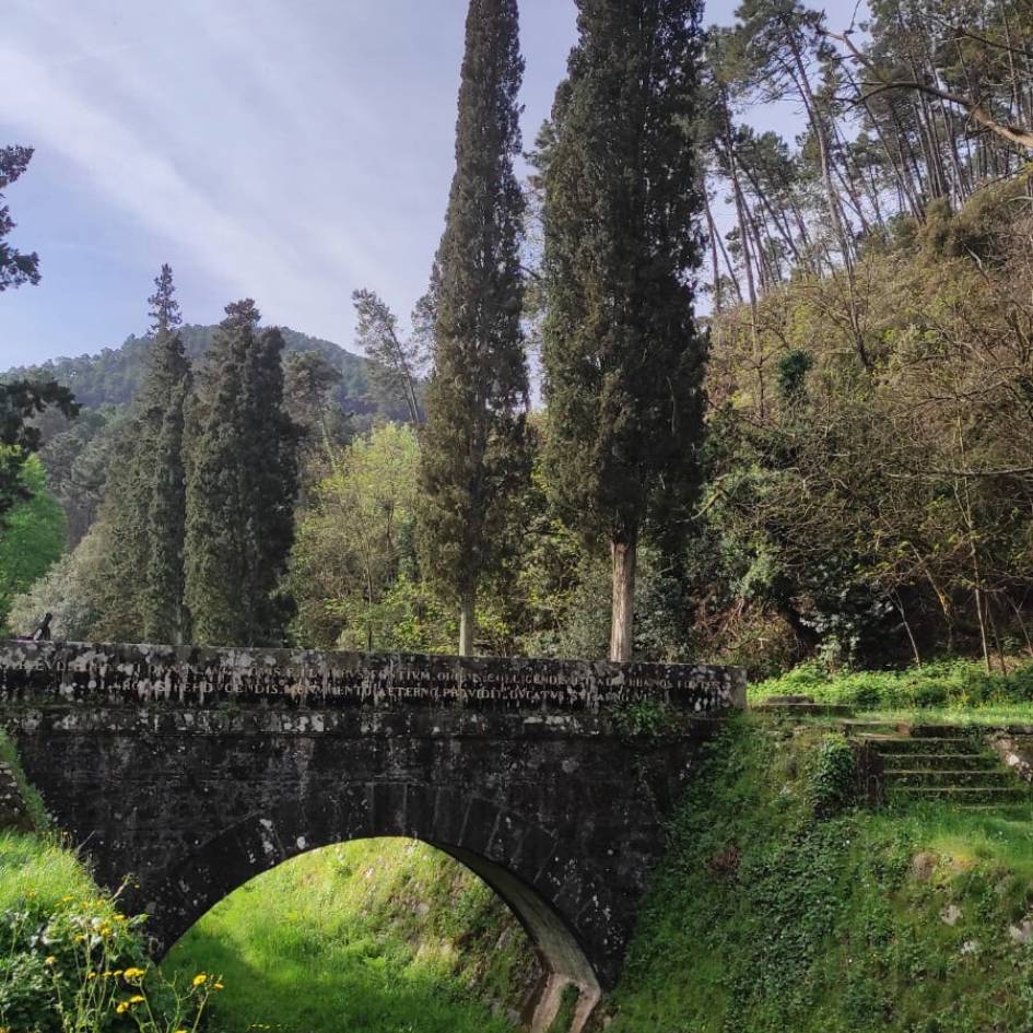 La Via degli Acquedotti: da Lucca a Pisa - immagine 7