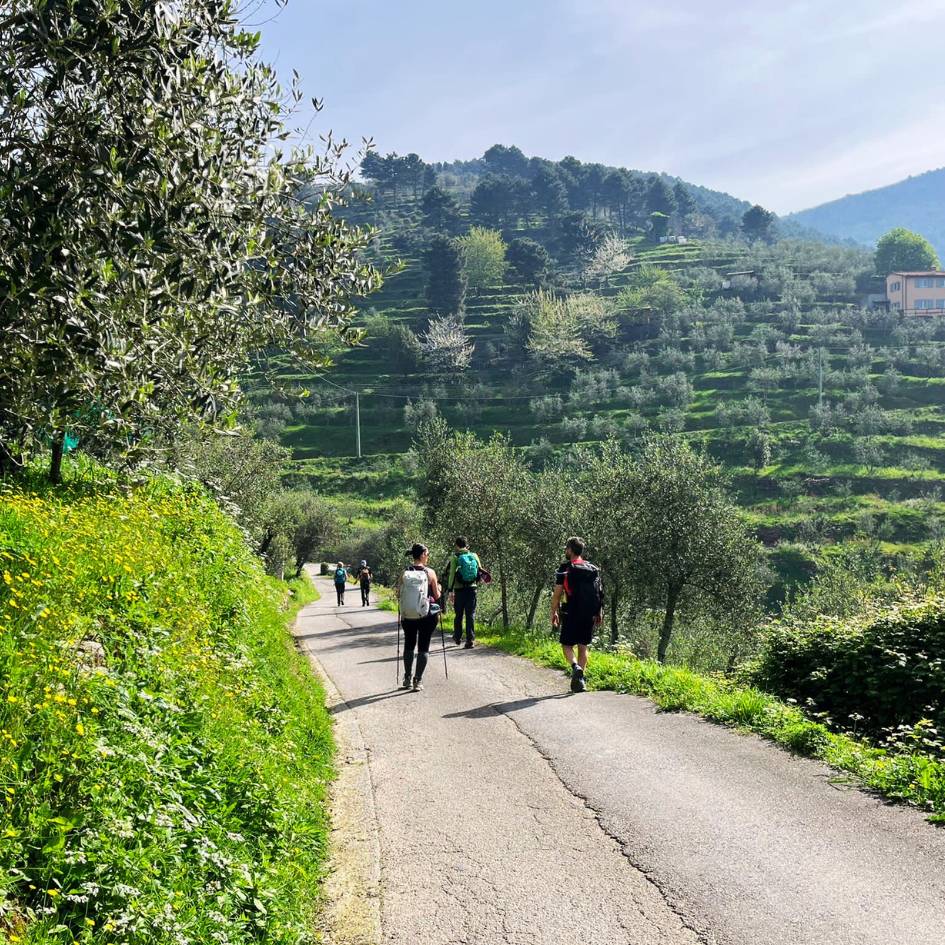 La Via degli Acquedotti: da Lucca a Pisa - immagine 3