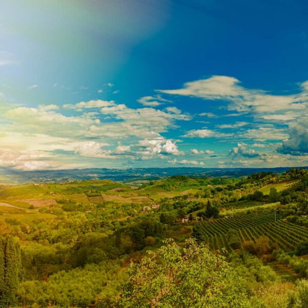 San Gimignano tra Cielo e Torri - immagine 3