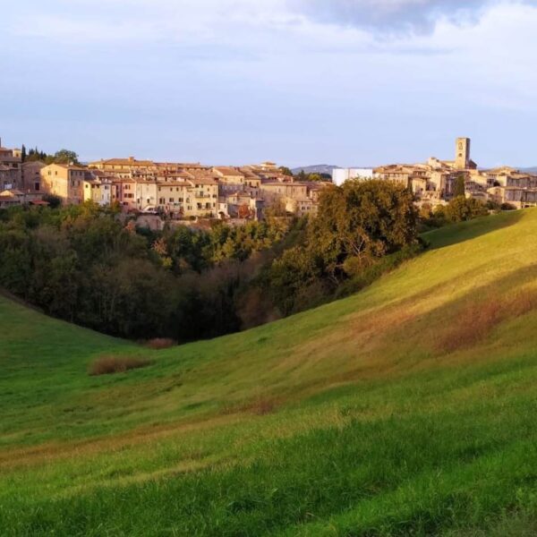 Francigena Day: Il Cammino di Colle - immagine 2