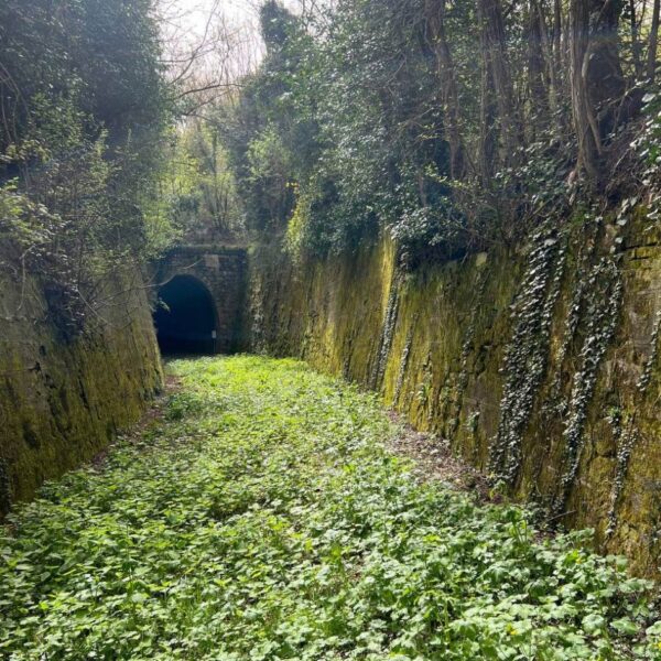 La Ferrovia abbandonata - immagine 3