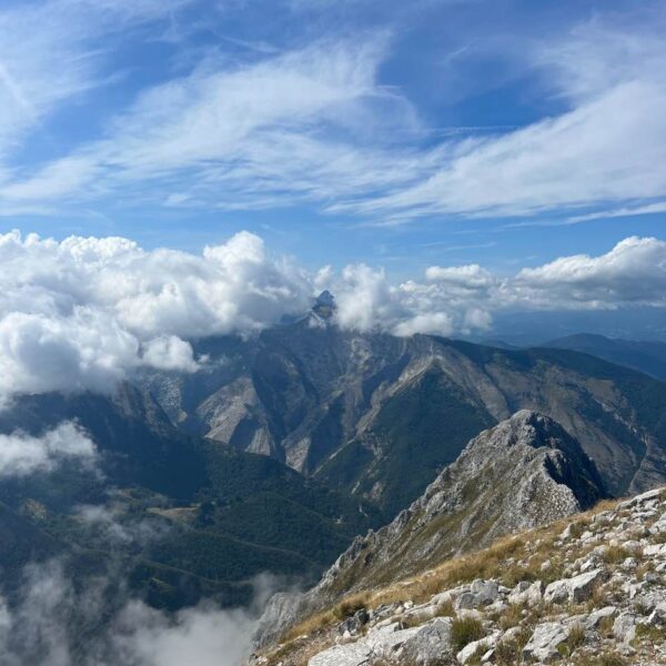 La Regina delle Apuane - immagine 2