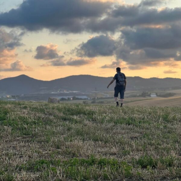 Tramonto nei Campi di Lavanda - immagine 5