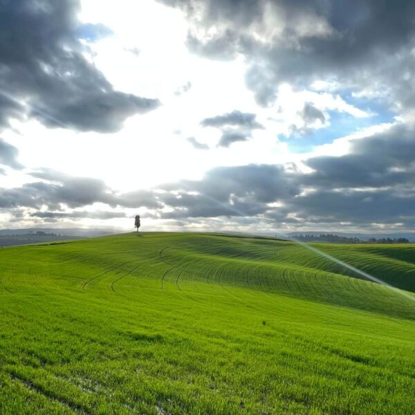 Solstizio alle Crete Senesi - immagine 5