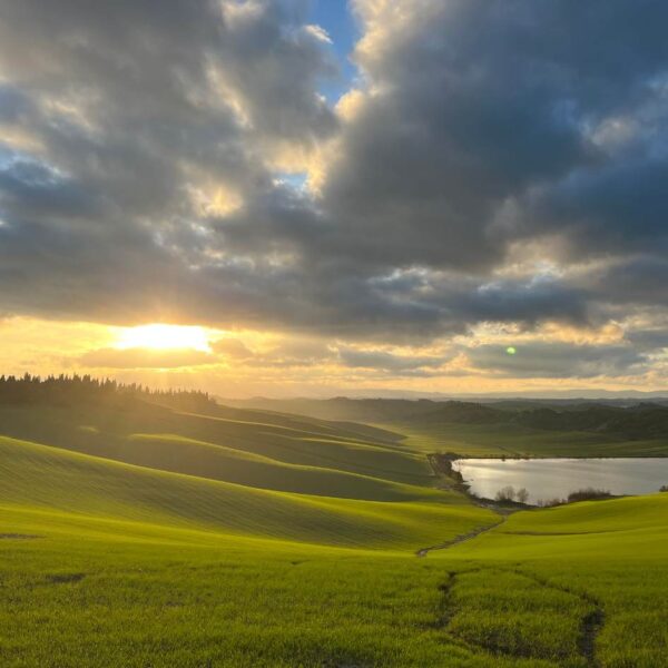 Solstizio alle Crete Senesi - immagine 2