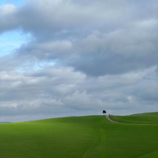 Solstizio alle Crete Senesi - immagine 4