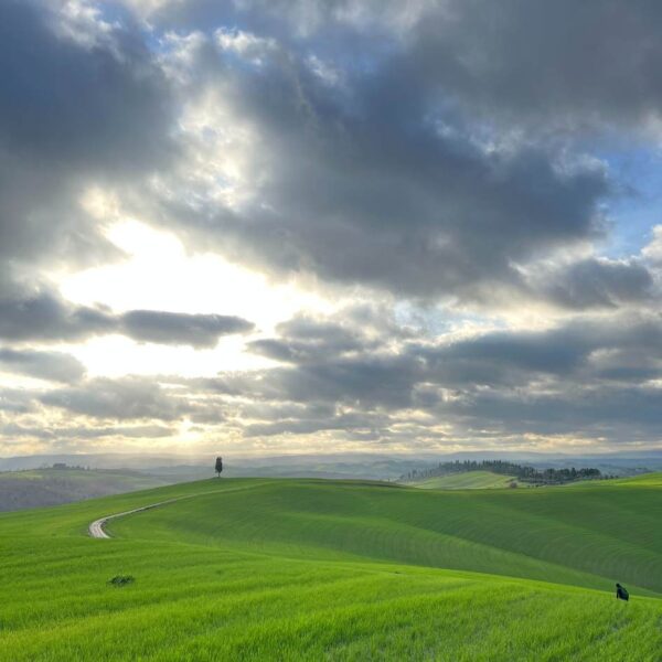 Solstizio alle Crete Senesi - immagine 3