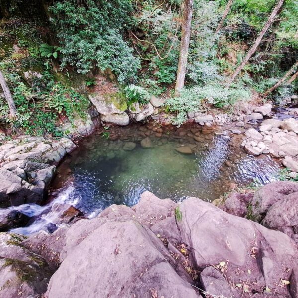 Tra Bagni e Natura selvaggia! - immagine 2