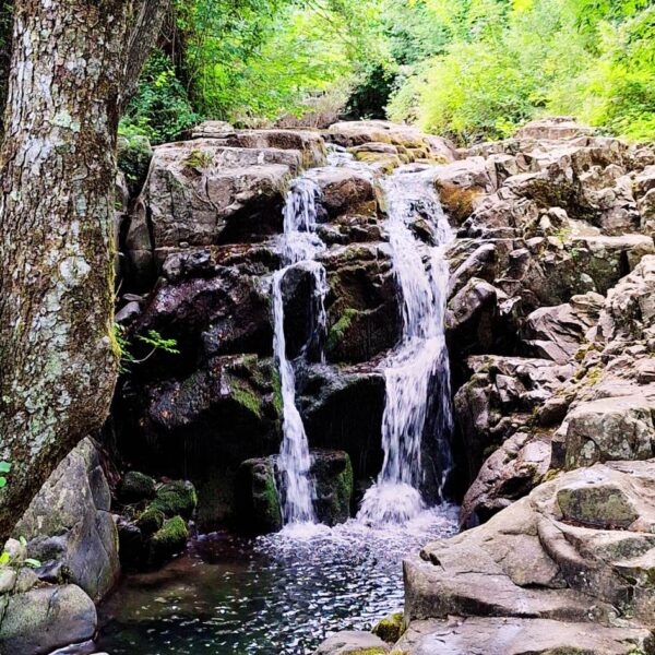 Tra Bagni e Natura selvaggia! - immagine 3