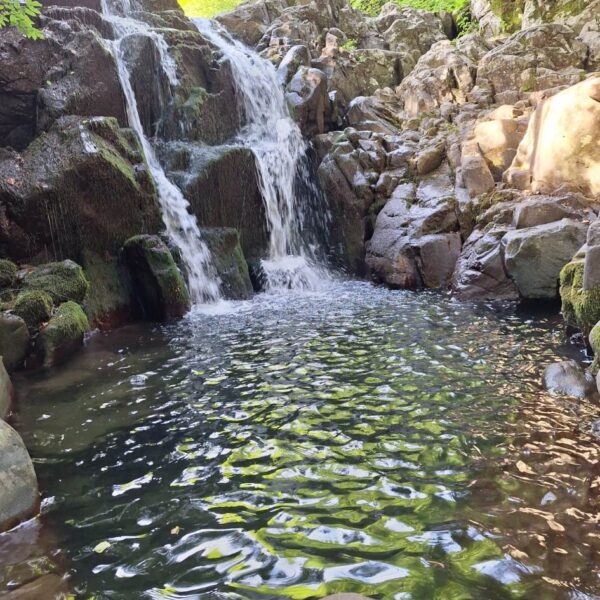 Tra Bagni e Natura selvaggia! - immagine 4