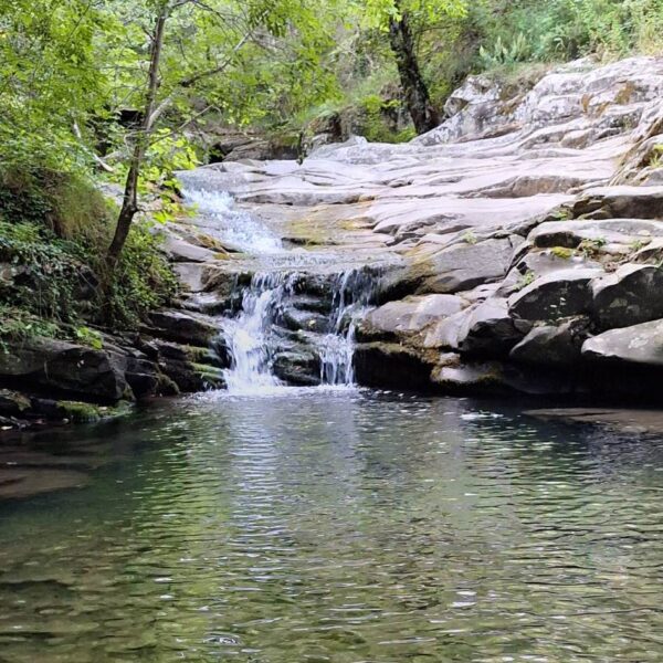 Tra Bagni e Natura selvaggia! - immagine 5