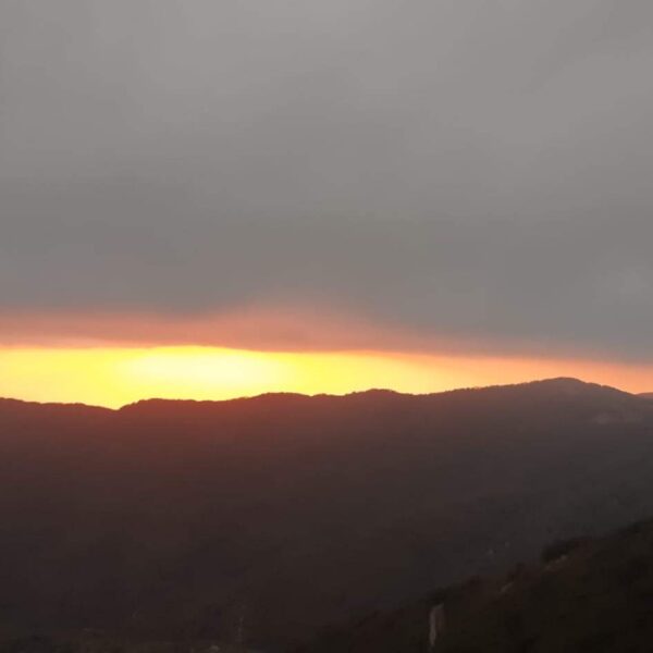 Sogno di una notte di mezza estate - immagine 5