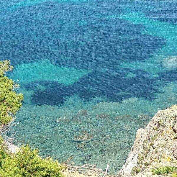 Isola D'Elba Tra Cielo e Mare - immagine 7