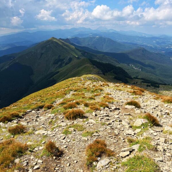 Il Monte Giovo ed i Suoi Laghi - immagine 3