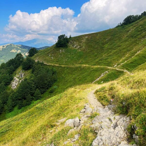 Il Monte Giovo ed i Suoi Laghi - immagine 4