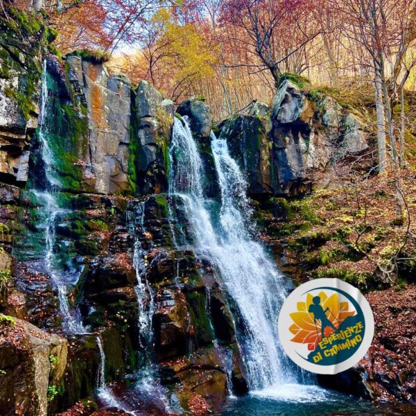 Foliage alle Cascate del Dardagna