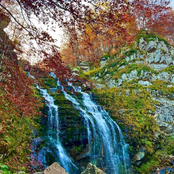 Foliage alle Cascate del Dardagna - immagine 4