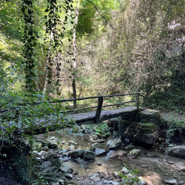 Le Cascate e le Grotte di Labante - immagine 4