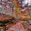 Foliage alle Cascate del Dardagna - immagine 5